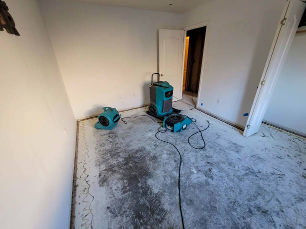 Best Professional water damage repair  in Landisville, PA