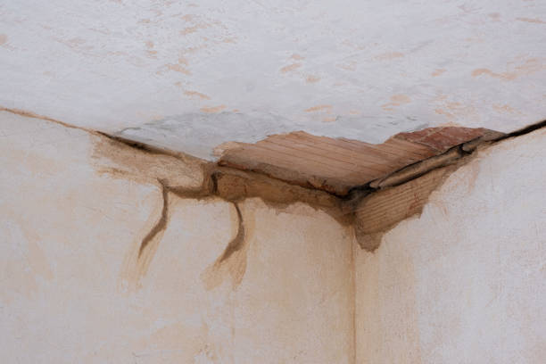 Best Water damage restoration experts  in Landisville, PA