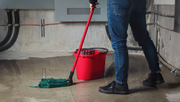 Best Water damage mitigation services  in Landisville, PA