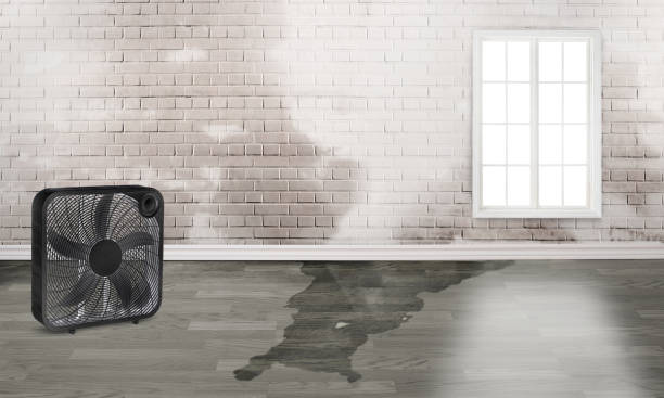 Best Emergency water damage restoration  in Landisville, PA