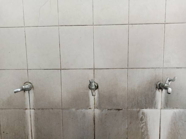 Best Flooded house restoration  in Landisville, PA