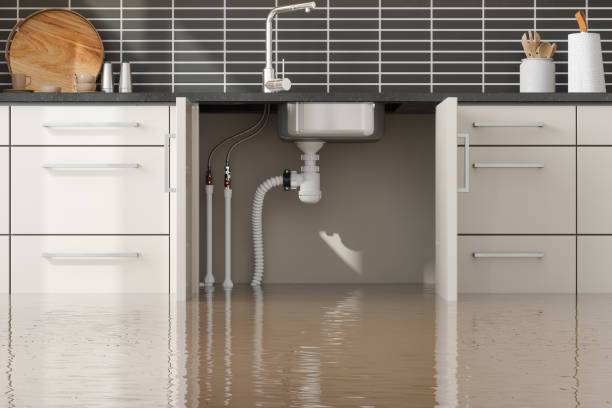 Best Carpet water damage restoration  in Landisville, PA
